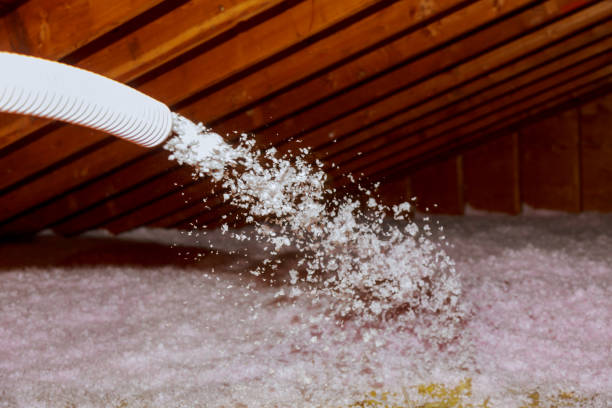 Best Insulation Maintenance and Repair in Juno Ridge, FL