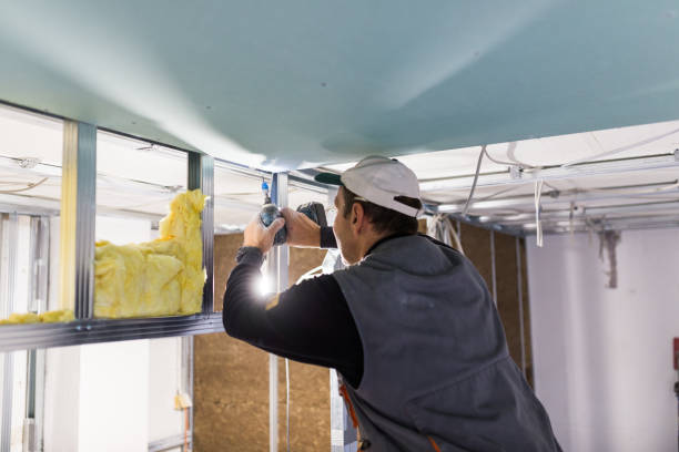 Best Eco-Friendly Insulation in Juno Ridge, FL