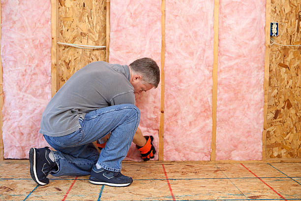Best Specialized Insulation Services in Juno Ridge, FL