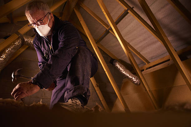 Best Geographic-Specific Insulation Services in Juno Ridge, FL